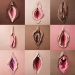 Vaginal Beef Curtains - Porn photos HD and porn pictures of 